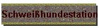 Schwei�hundestation